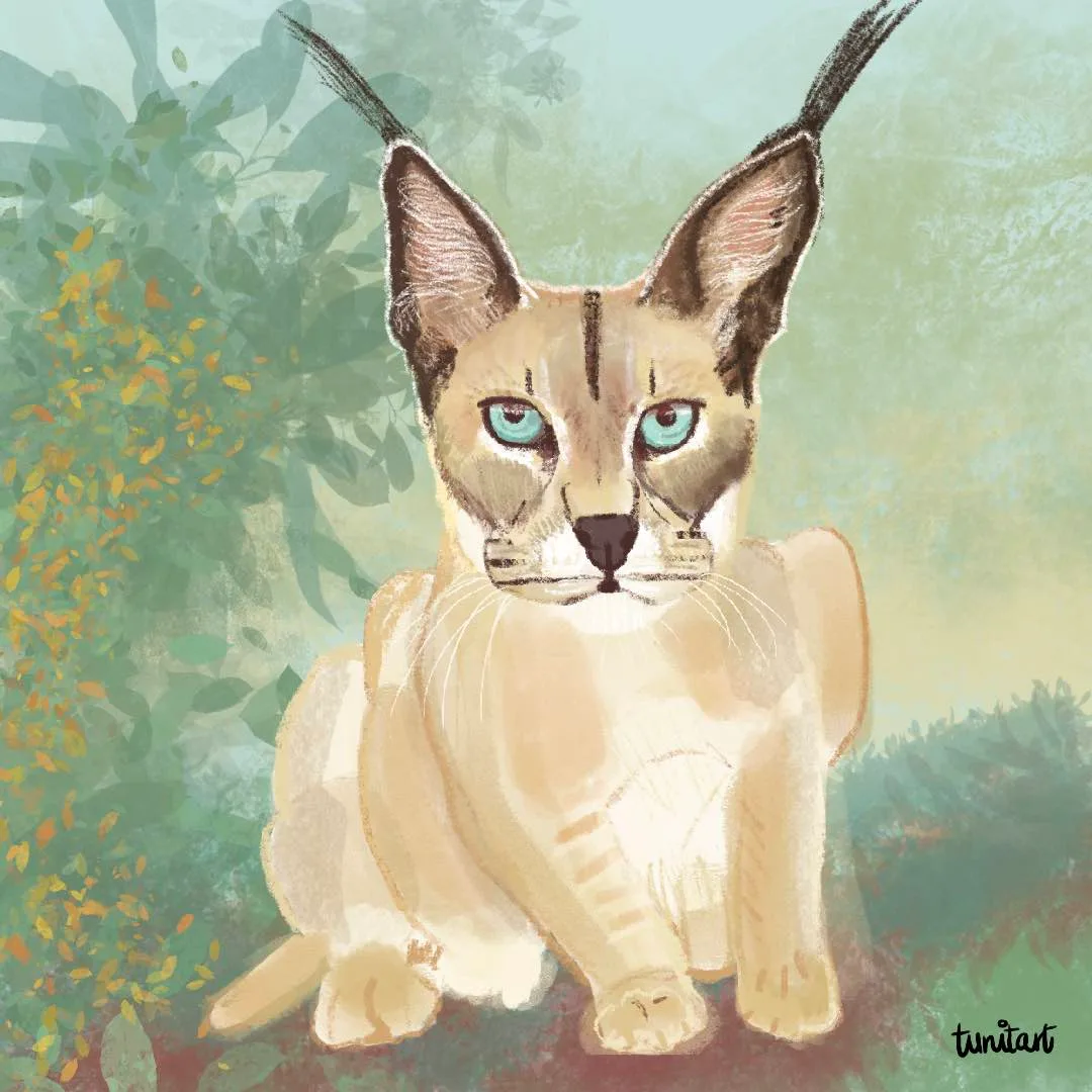 Lince ibérico
